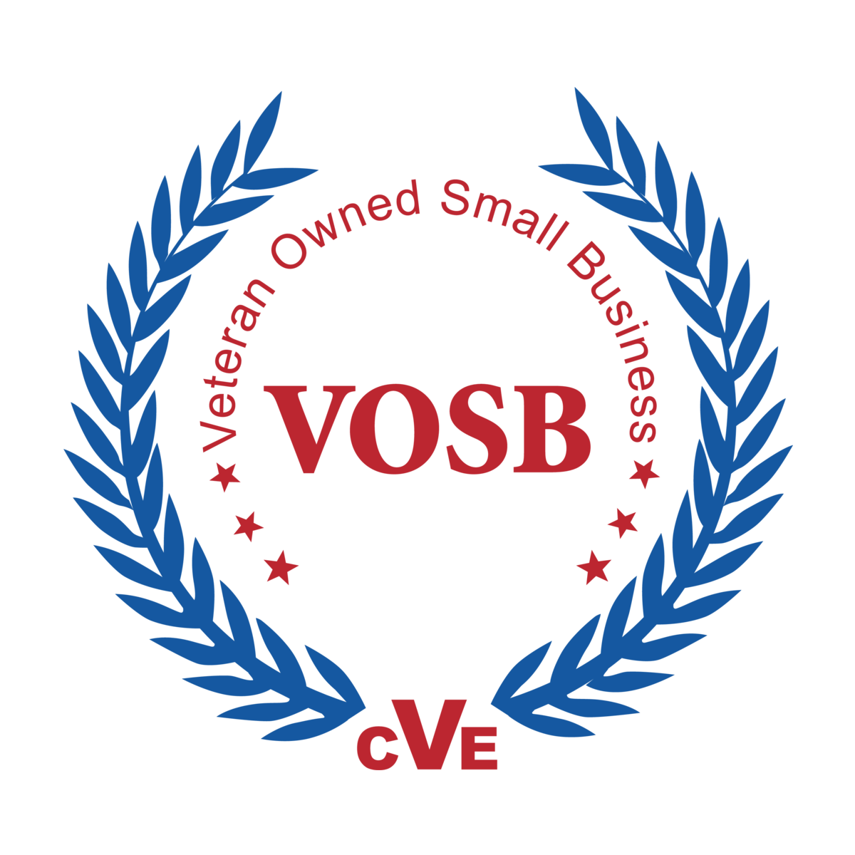Veteran Owned Small Business